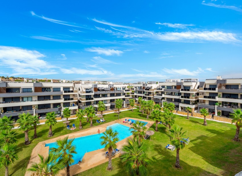 Reventa - Apartment - Orihuela Costa - Los Altos