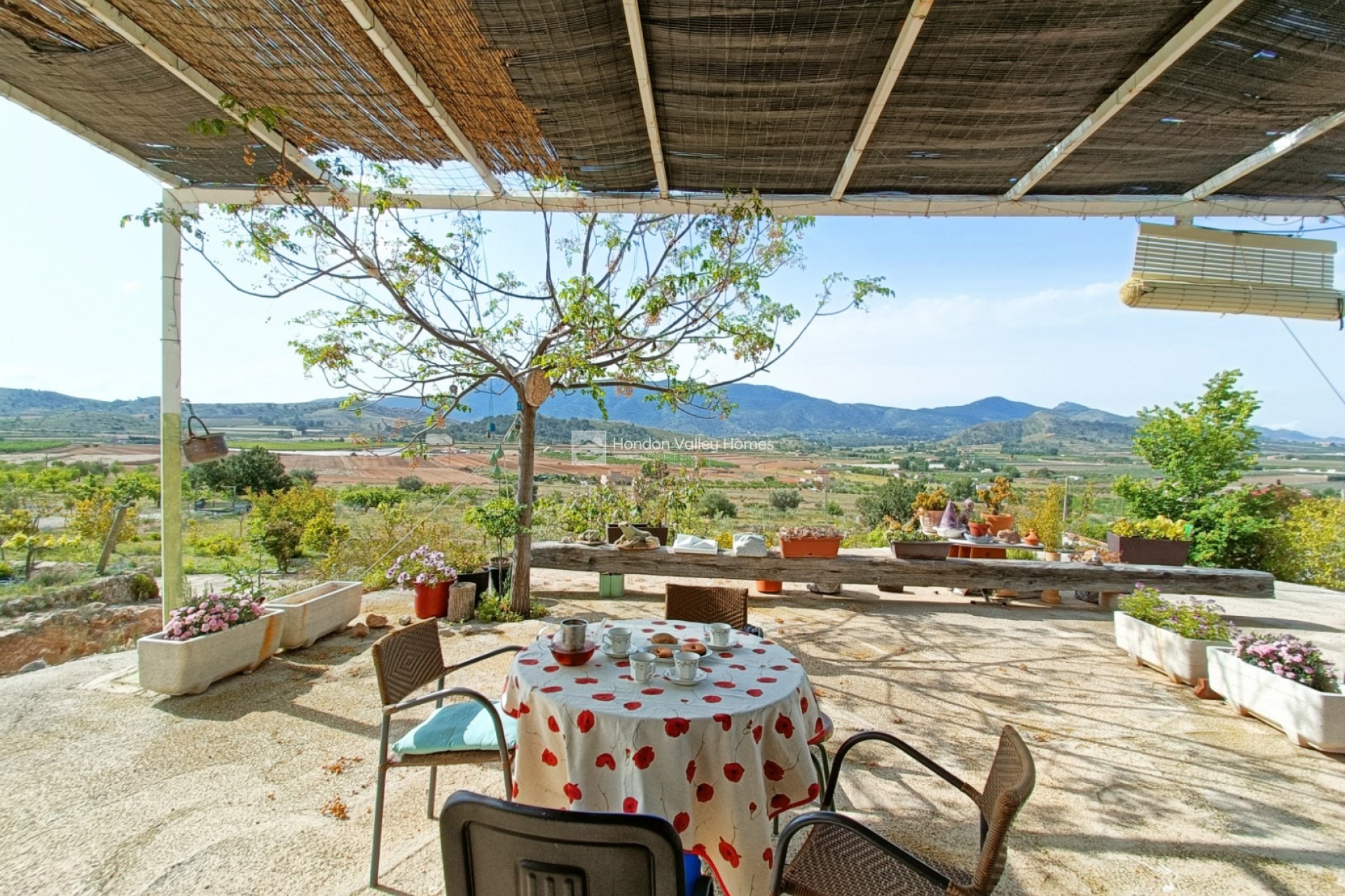 Reventa - Country home - Hondón de las Nieves