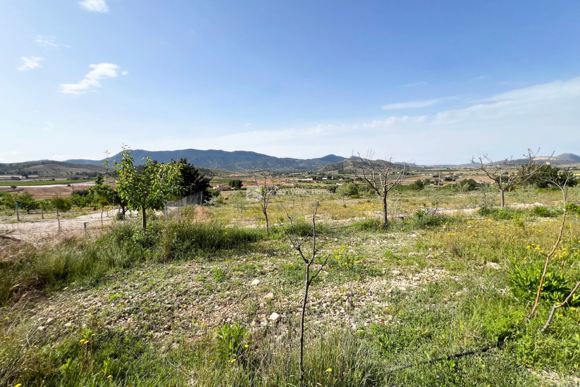 Reventa - Country home - Hondón de las Nieves