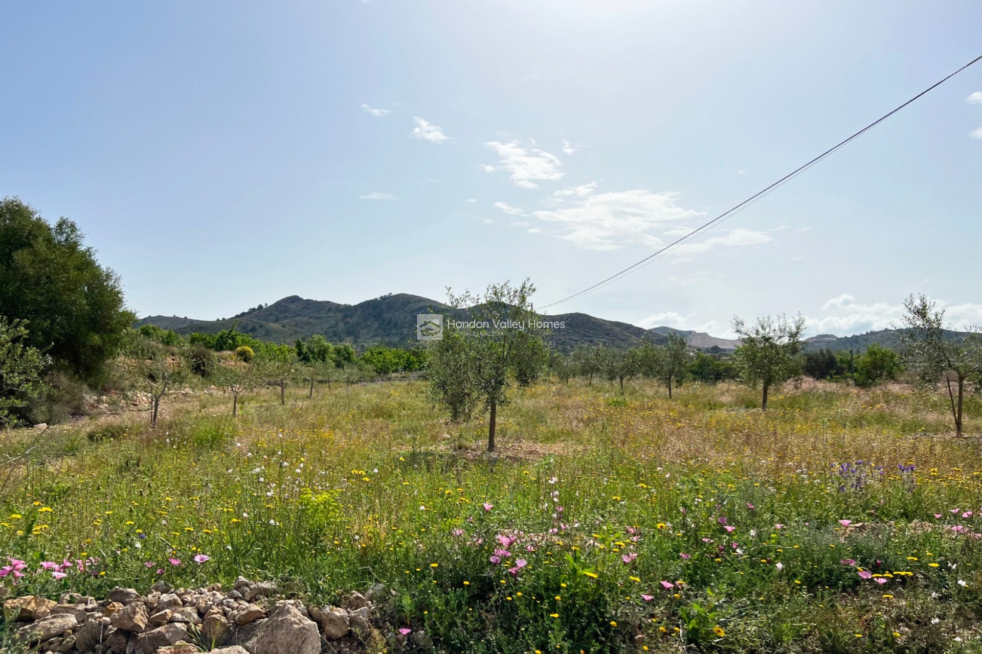 Reventa - Country home - Hondón de las Nieves