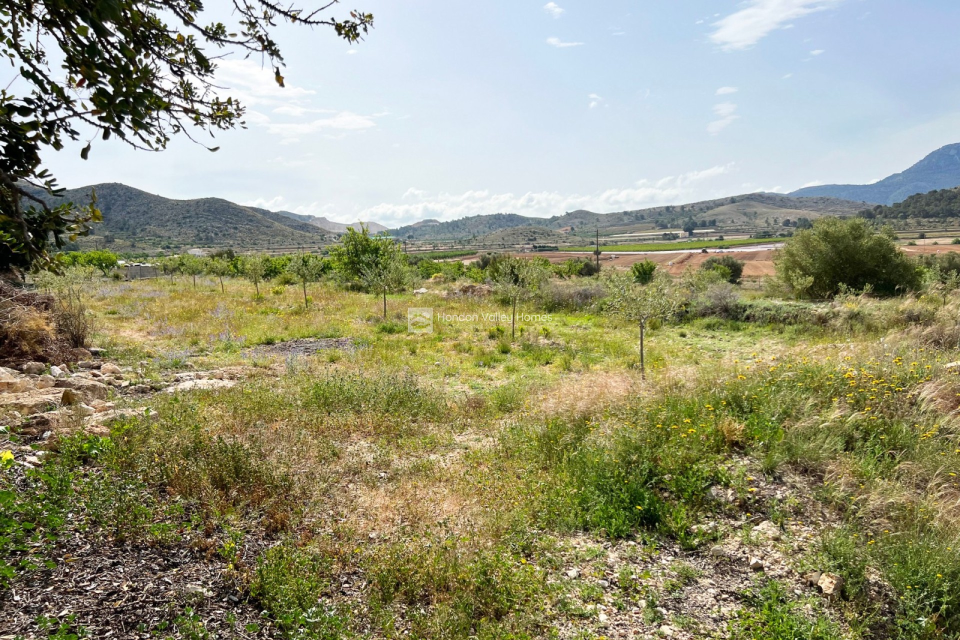 Reventa - Country home - Hondón de las Nieves