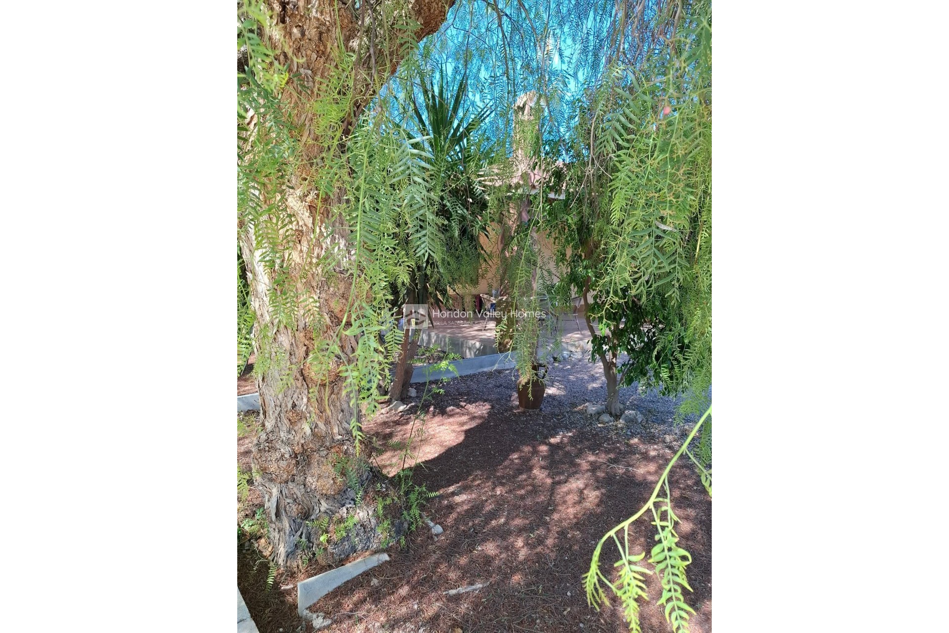 Reventa - Country House - Orihuela