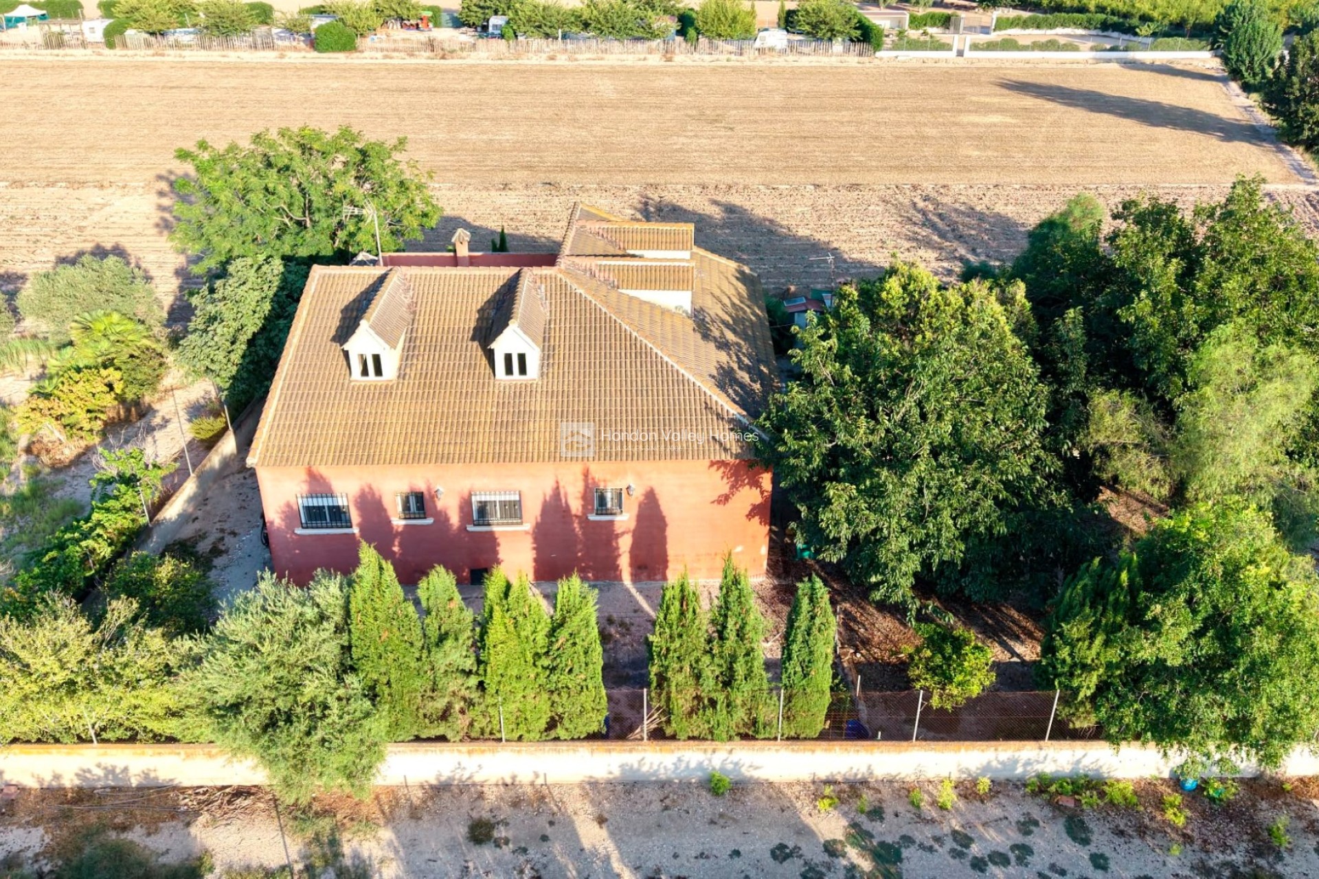 Reventa - Finca - Country Property - Catral