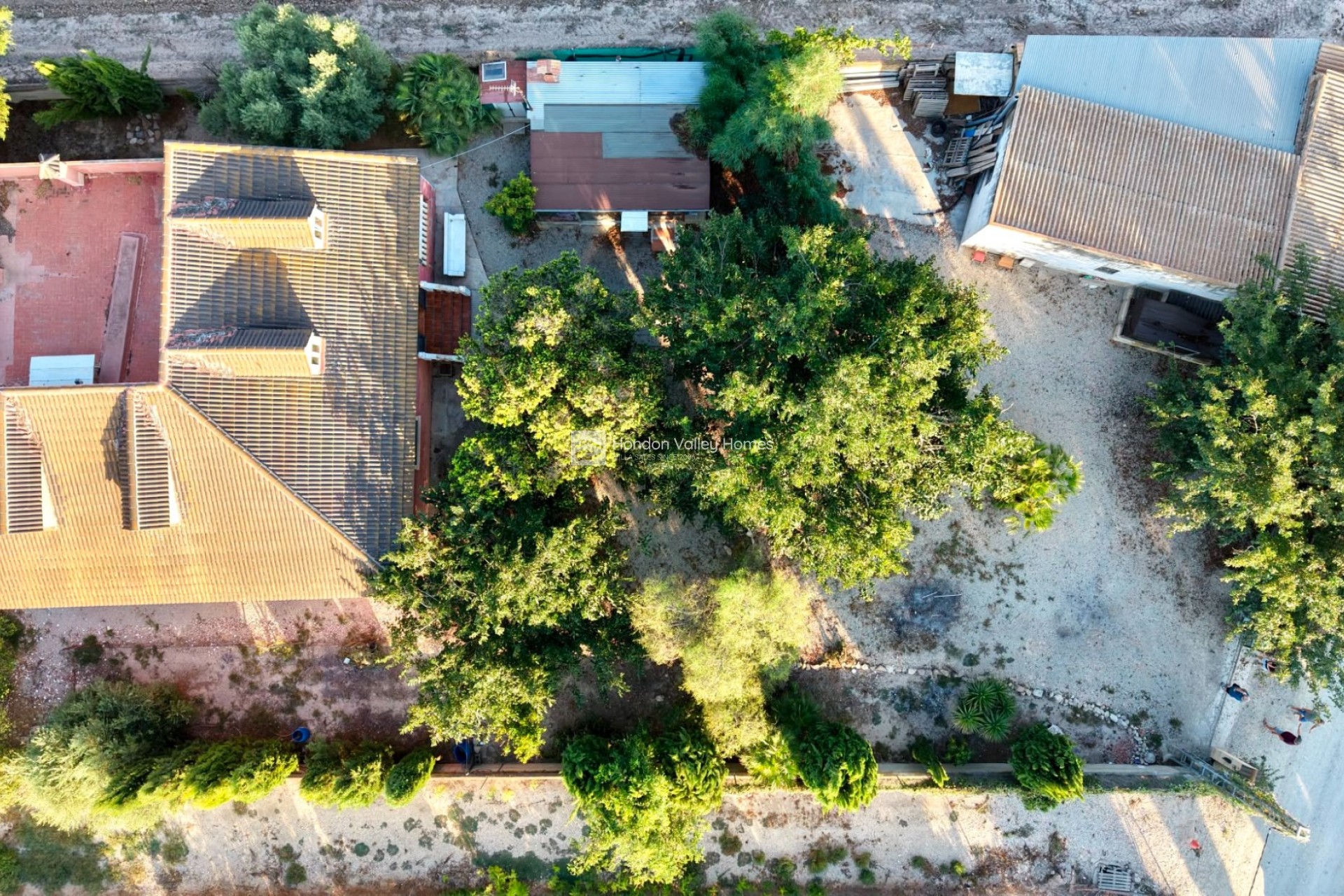 Reventa - Finca - Country Property - Catral