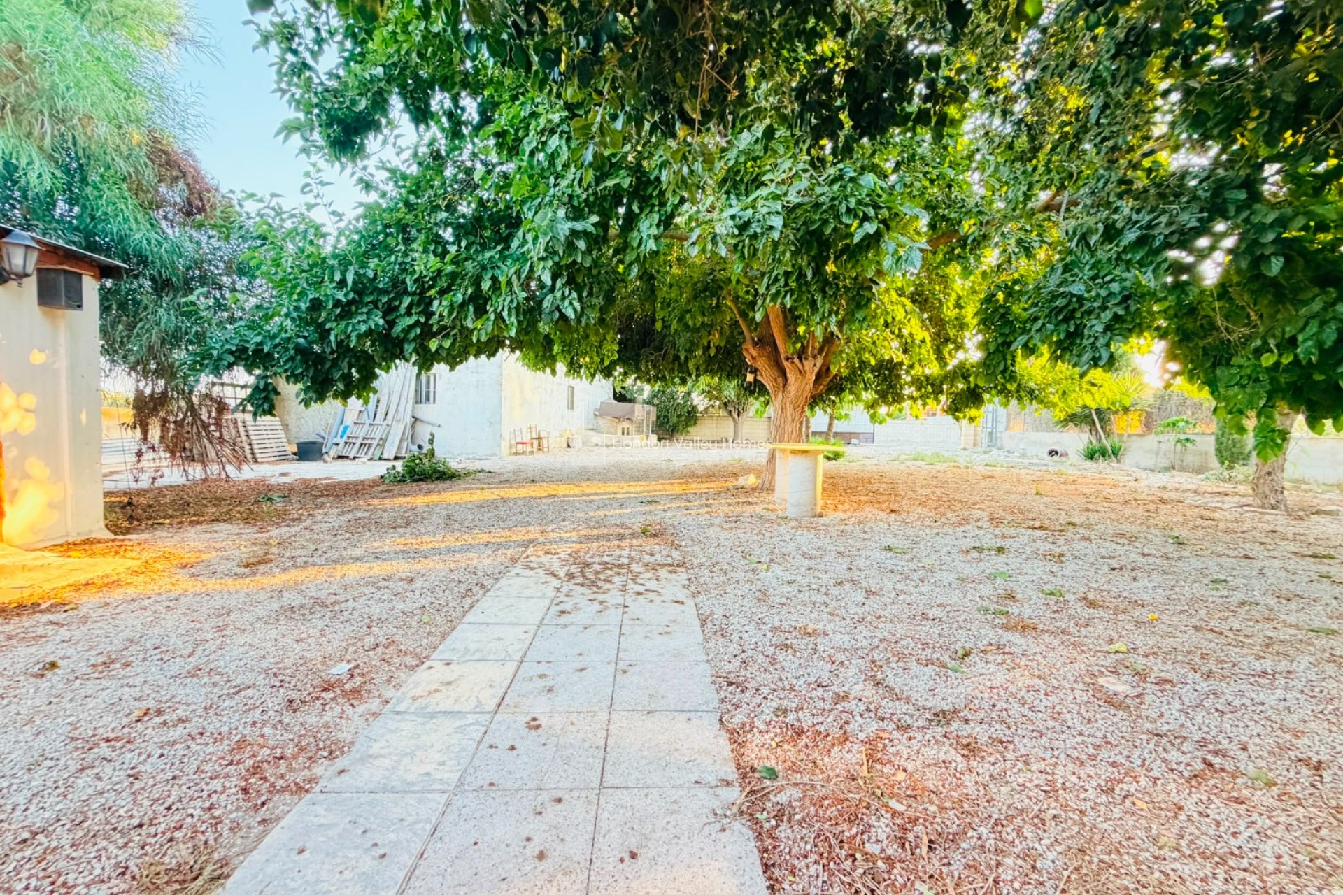 Reventa - Finca - Country Property - Catral