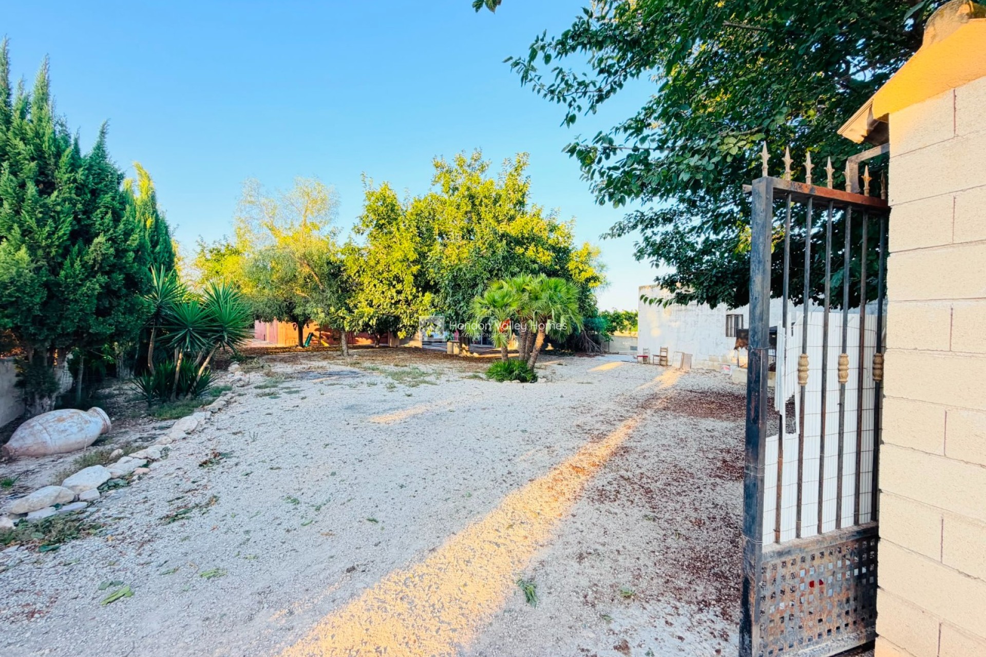 Reventa - Finca - Country Property - Catral