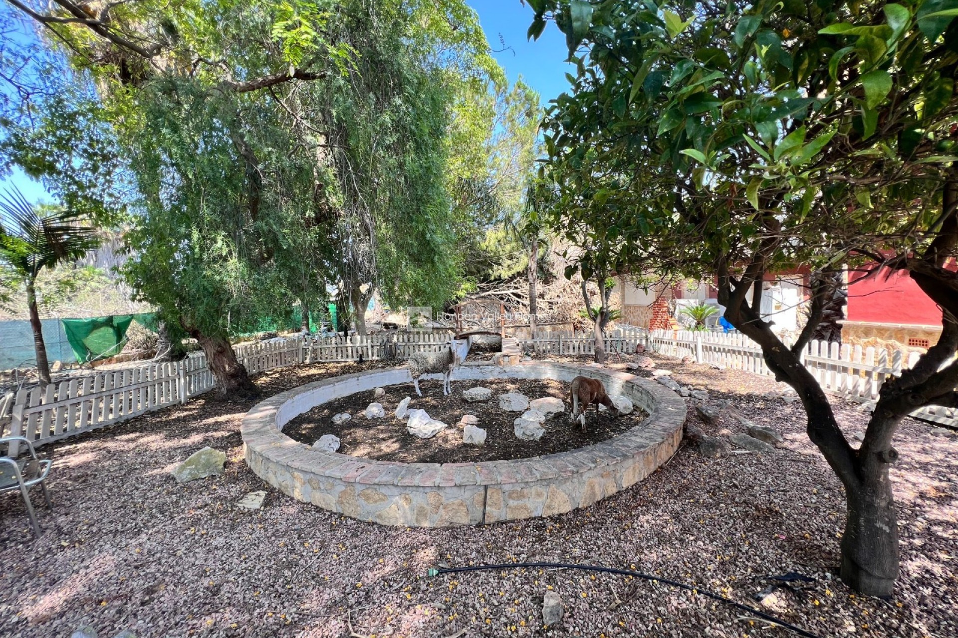 Reventa - Finca Country Property - Los Montesinos