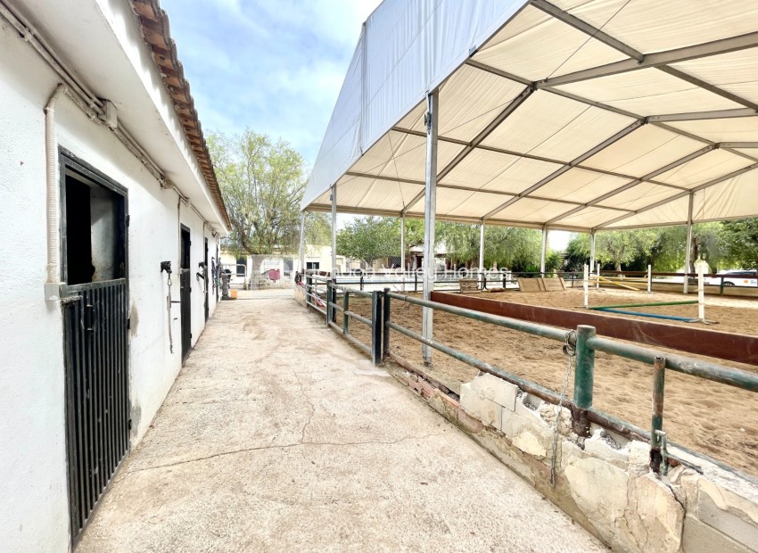 Reventa - Finca / Country Property - Orihuela