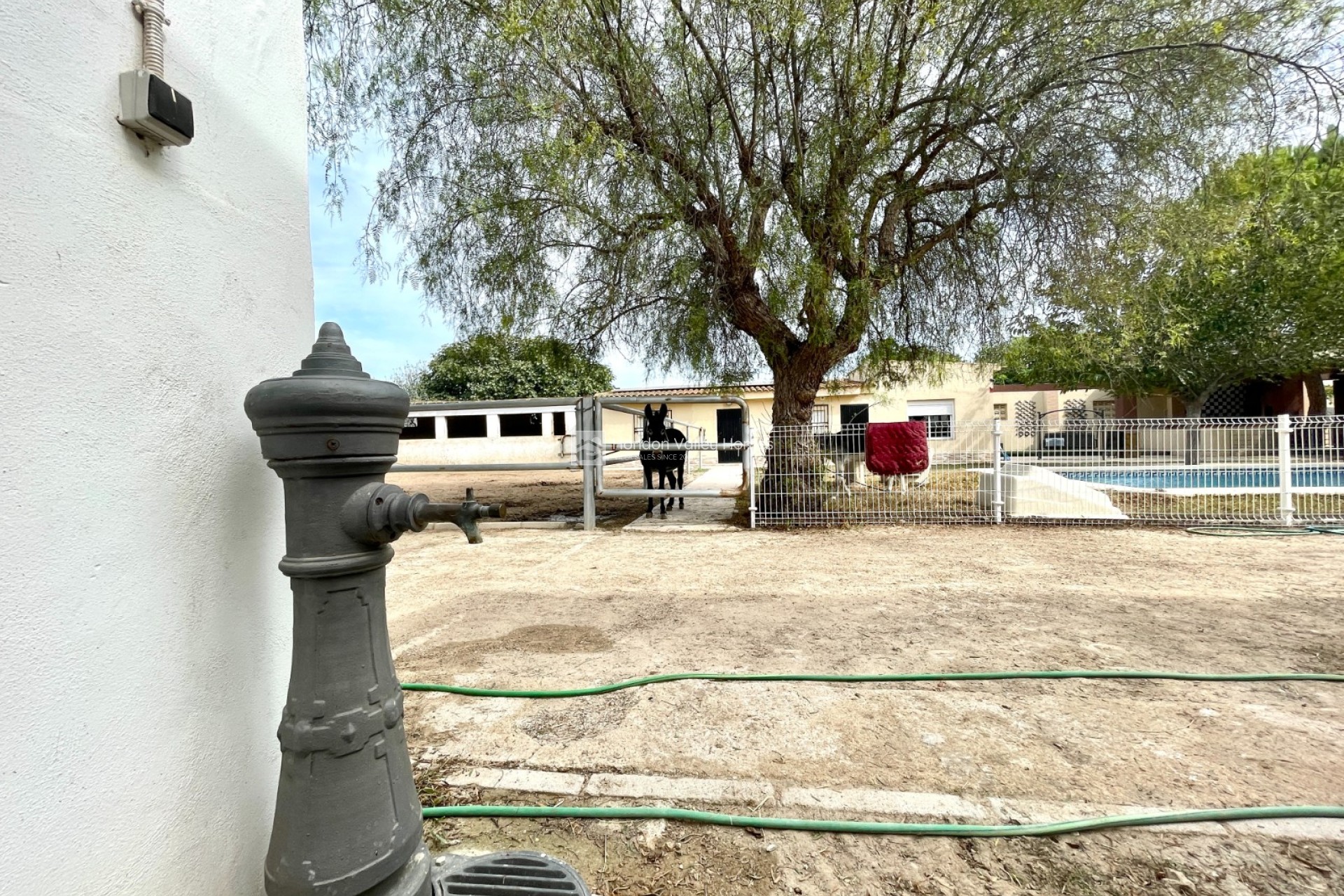 Reventa - Finca / Country Property - Orihuela