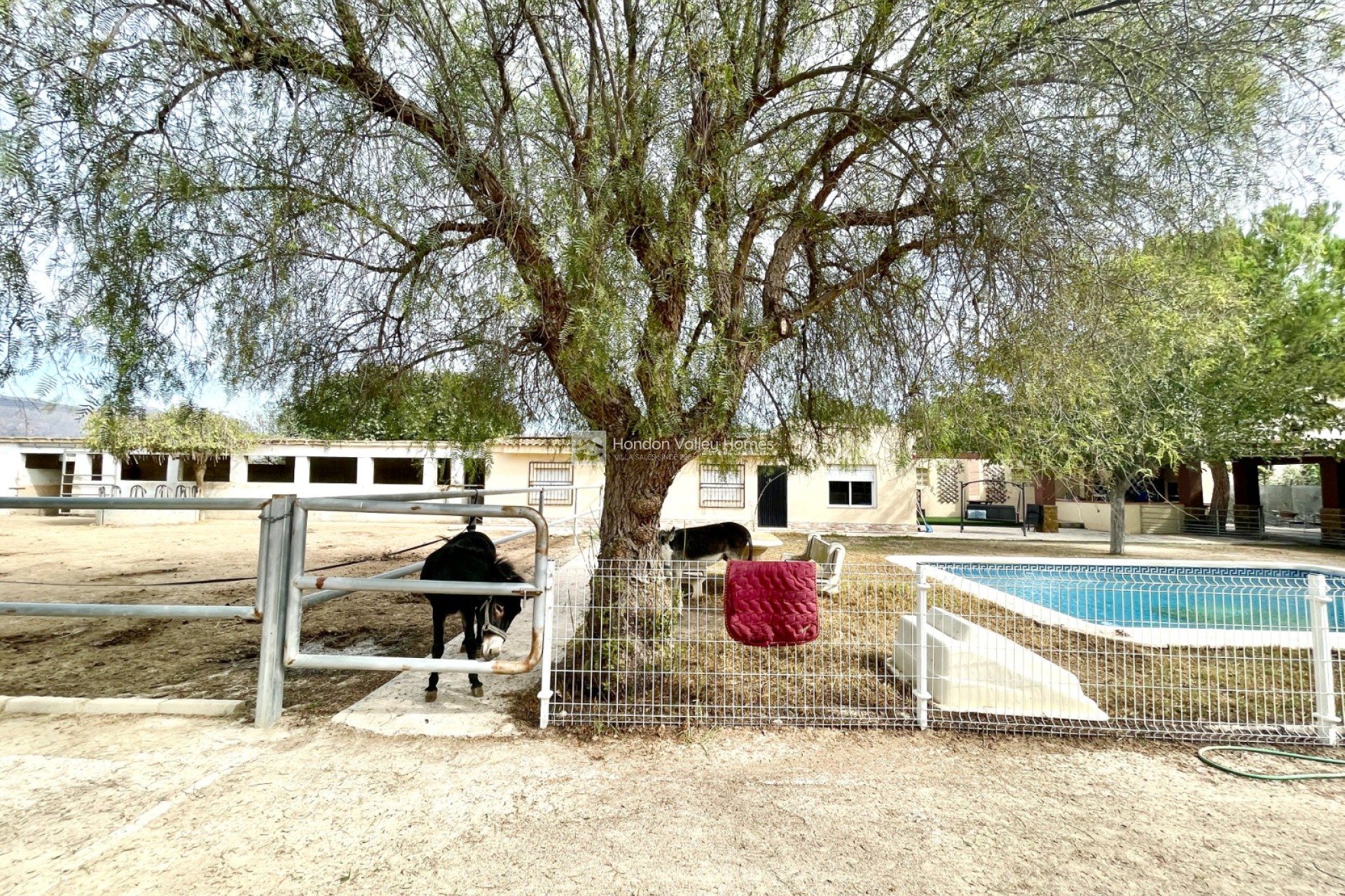 Reventa - Finca / Country Property - Orihuela