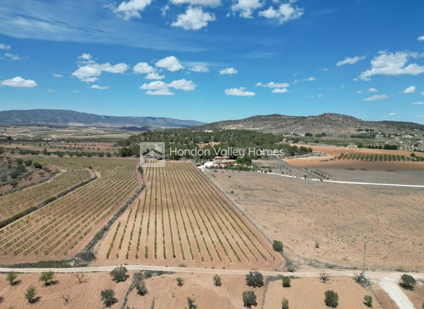 Reventa - Grond - Pinoso