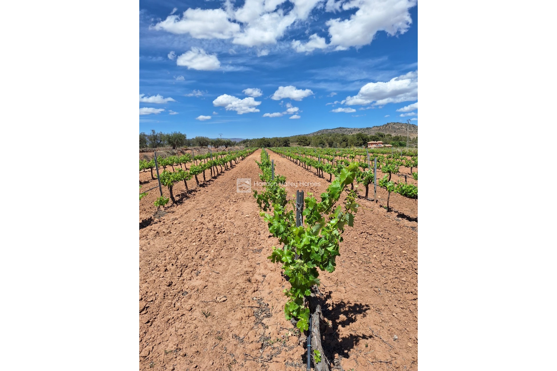 Reventa - Grond - Pinoso
