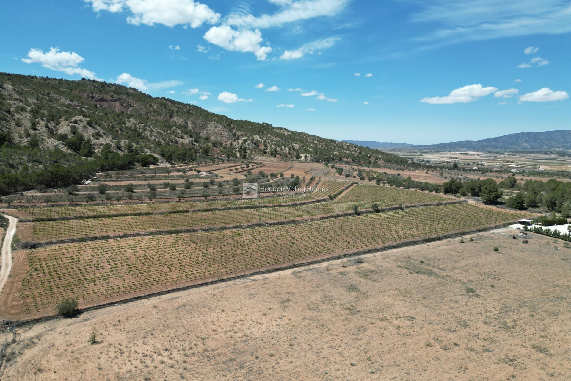 Reventa - Grond - Pinoso