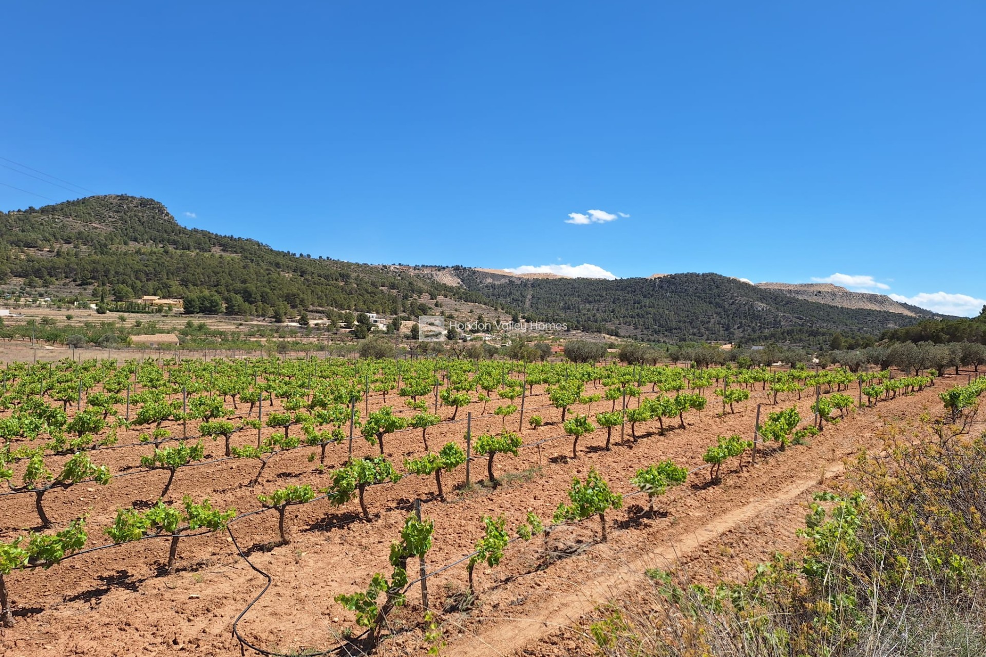 Reventa - Grond - Pinoso