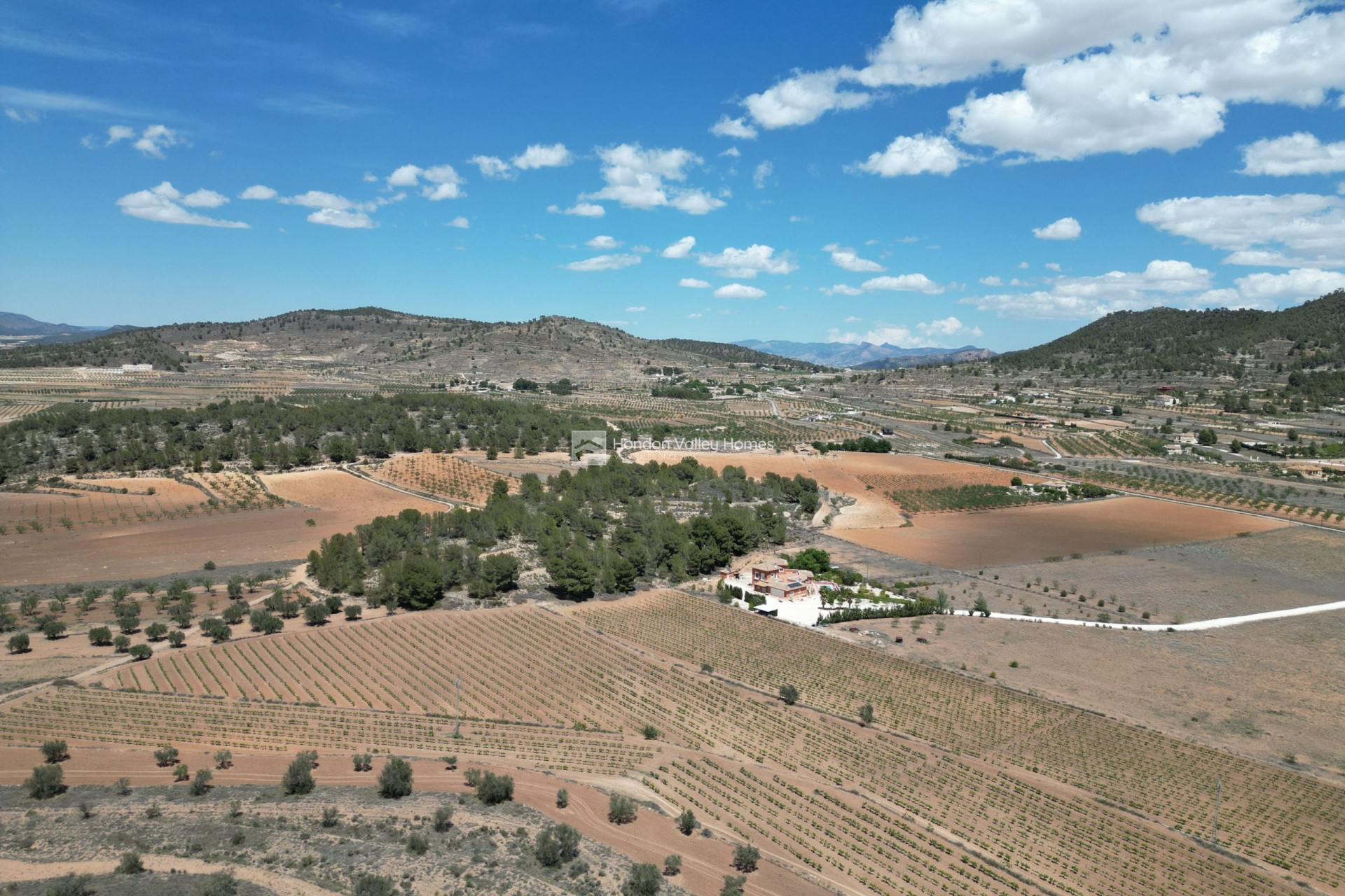 Reventa - Grond - Pinoso