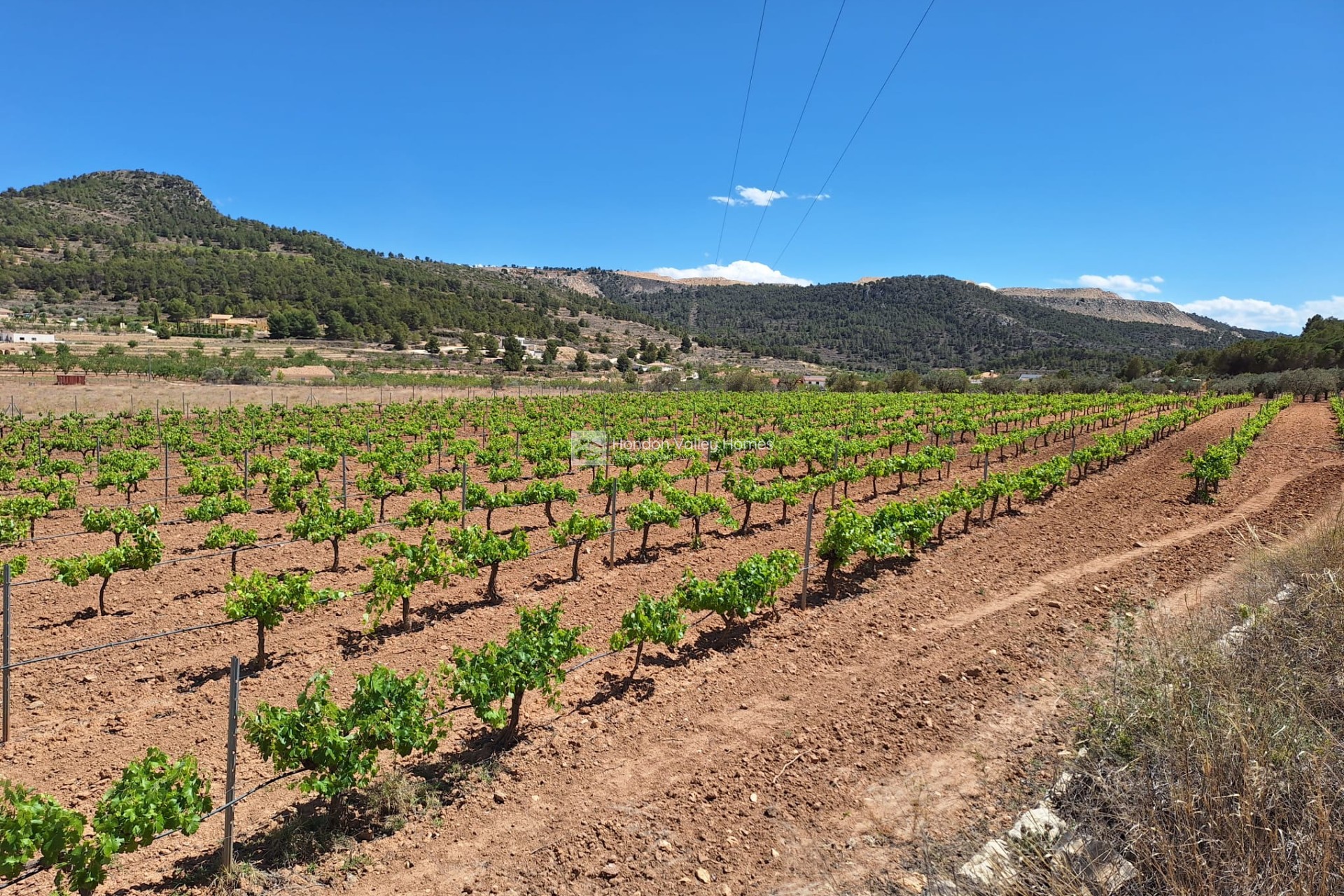 Reventa - Grond - Pinoso