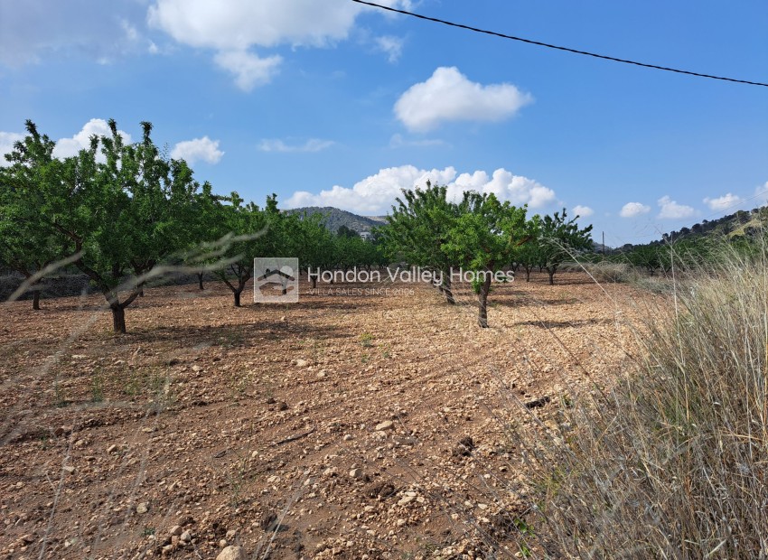 Reventa - Grond - Pinoso