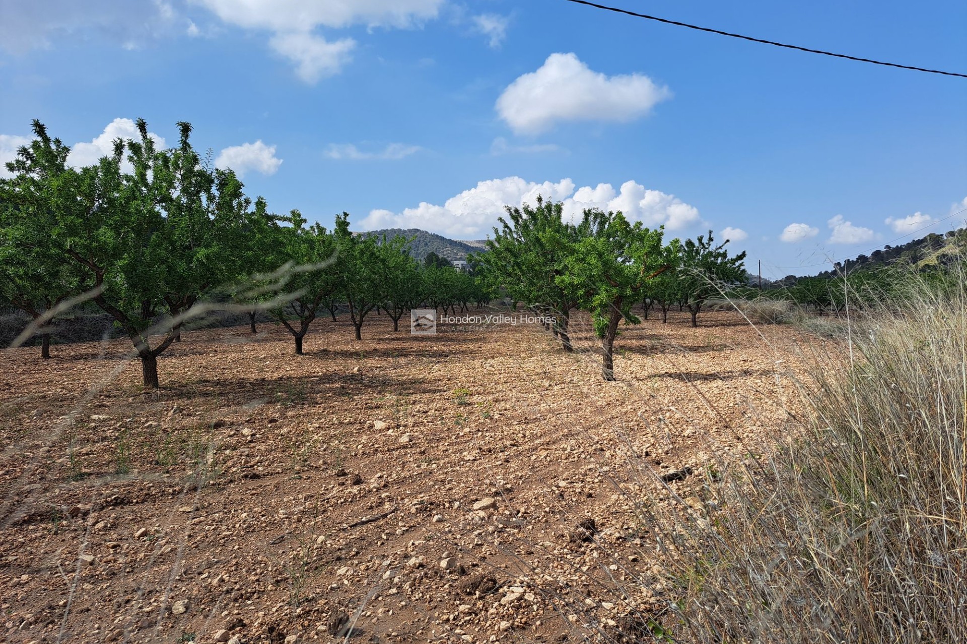Reventa - Grond - Pinoso