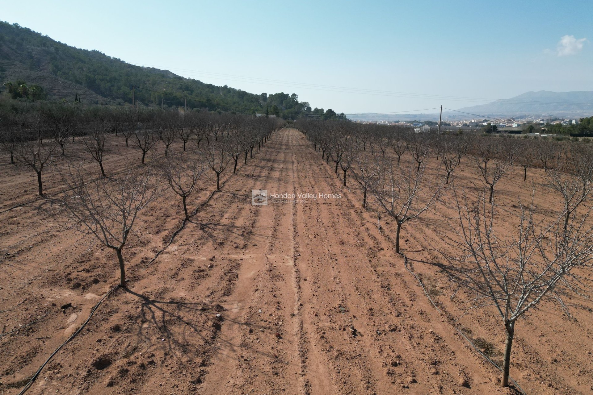 Reventa - Grond - Pinoso