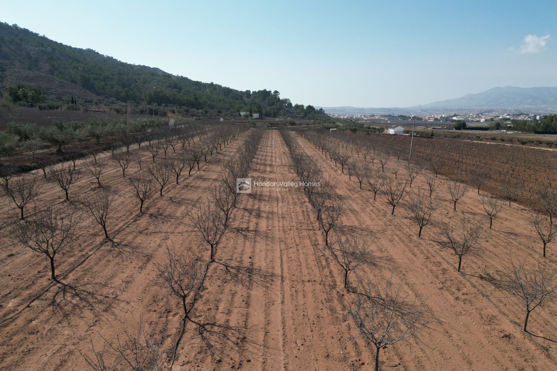 Reventa - Grond - Pinoso