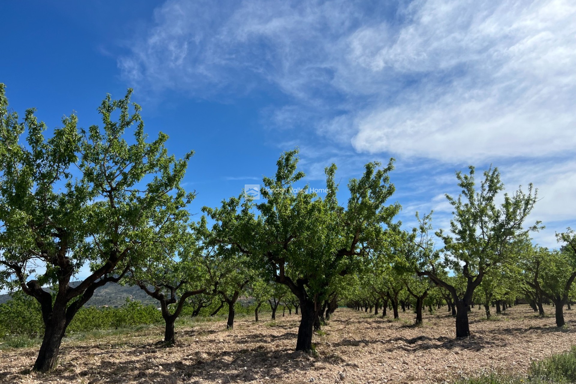 Reventa - Parcela / Terreno - Hondón de los Fráiles