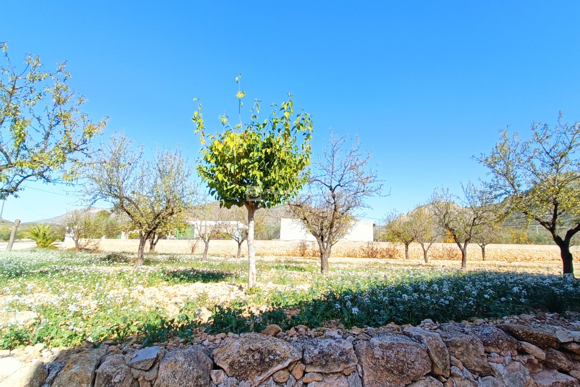 Reventa - Town house - Barbarroja
