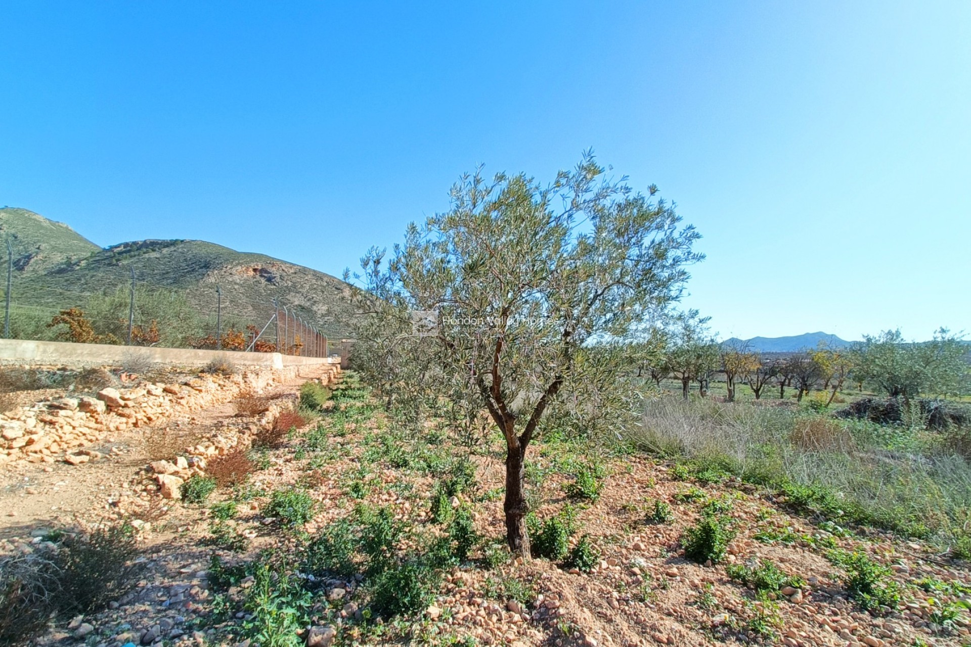 Reventa - Town house - Barbarroja