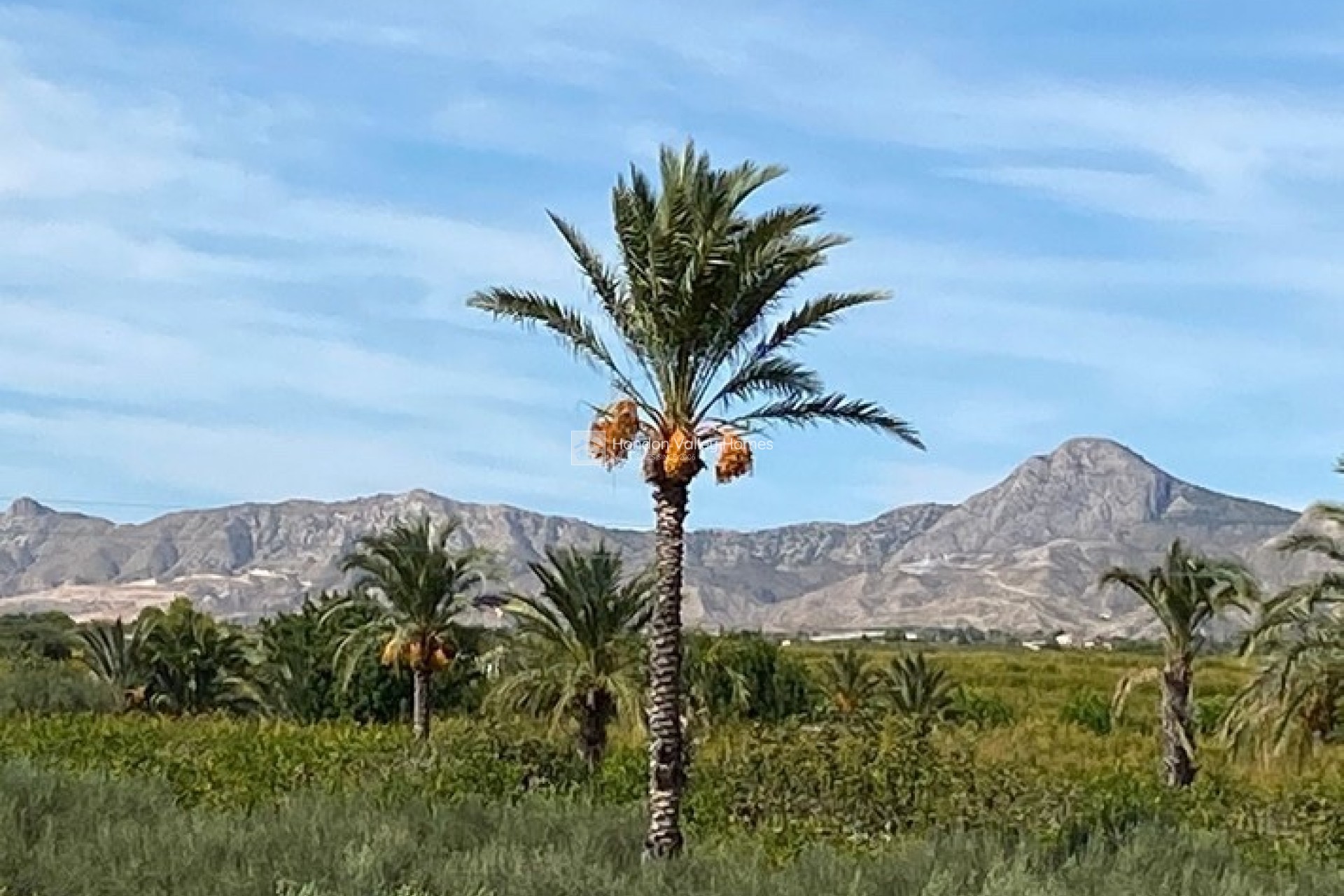 Reventa - Villa - Albatera