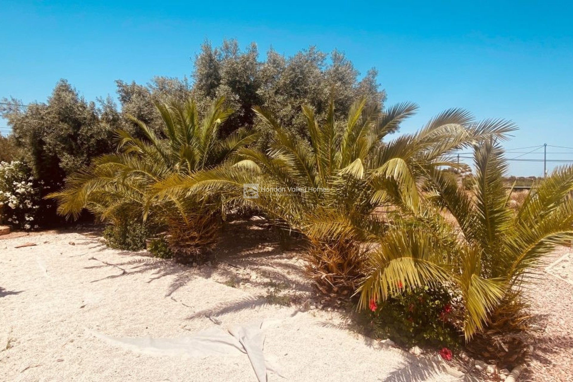 Reventa - Villa - Albatera