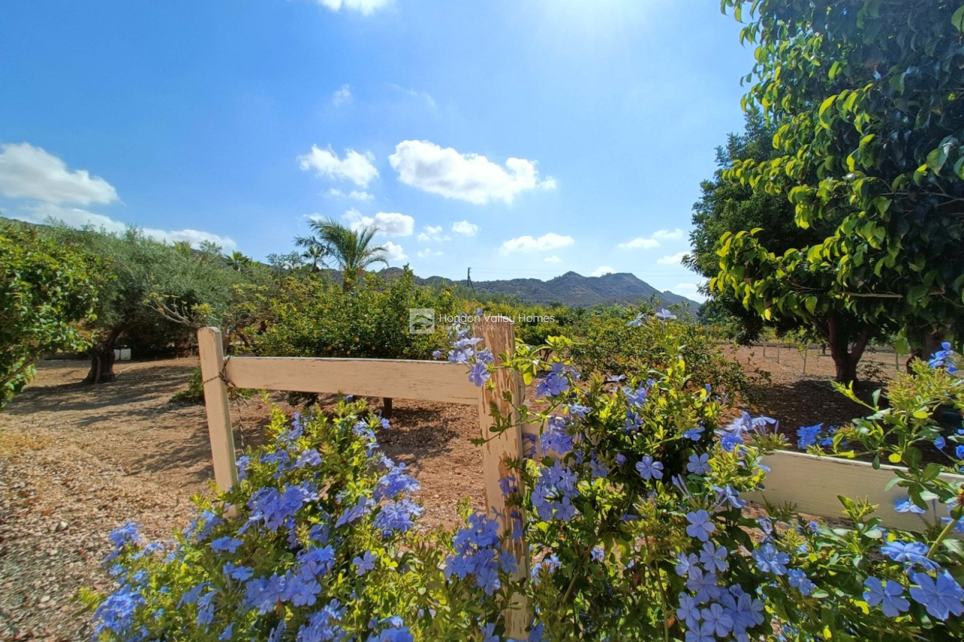 Reventa - Villa - Aspe