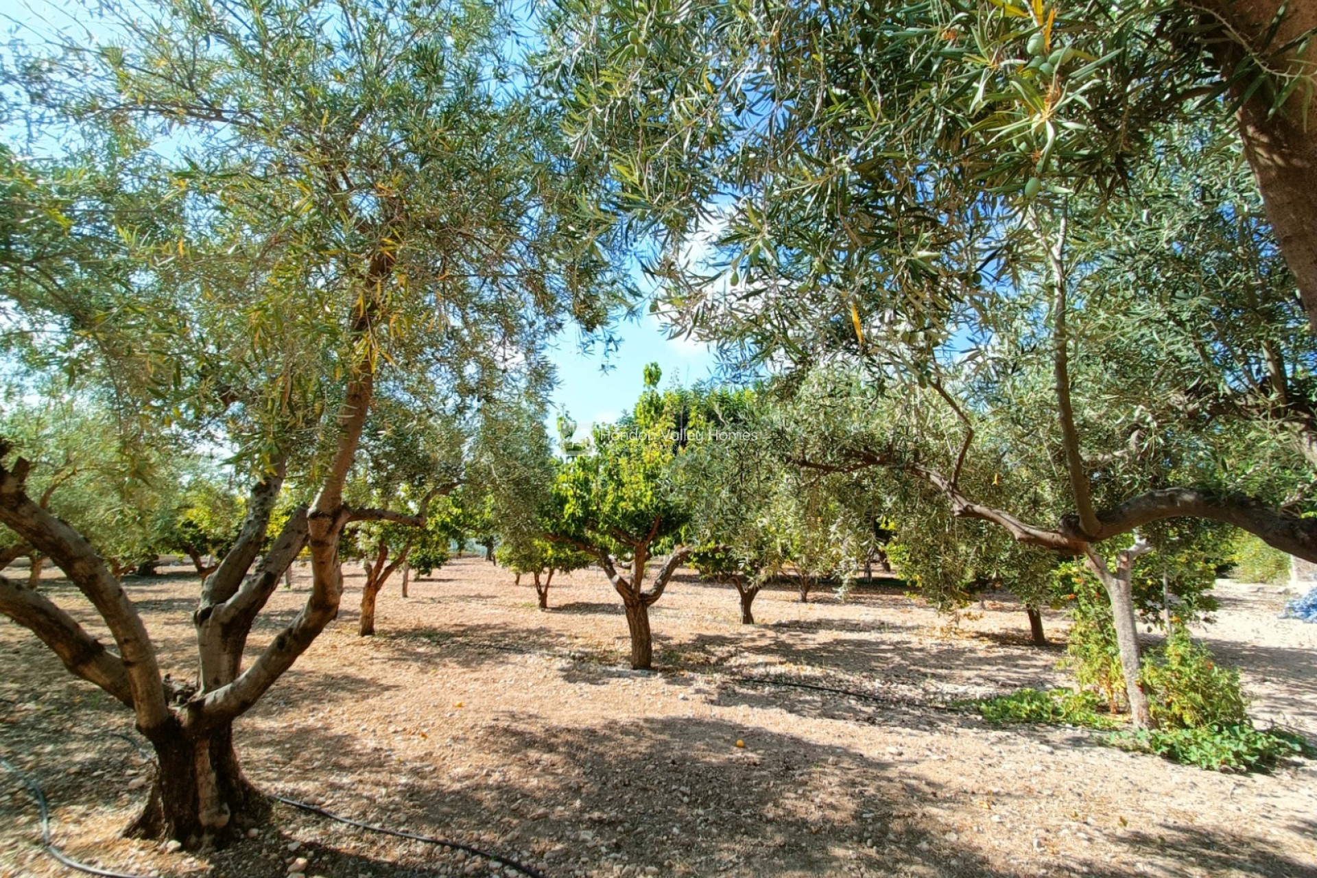 Reventa - Villa - Aspe