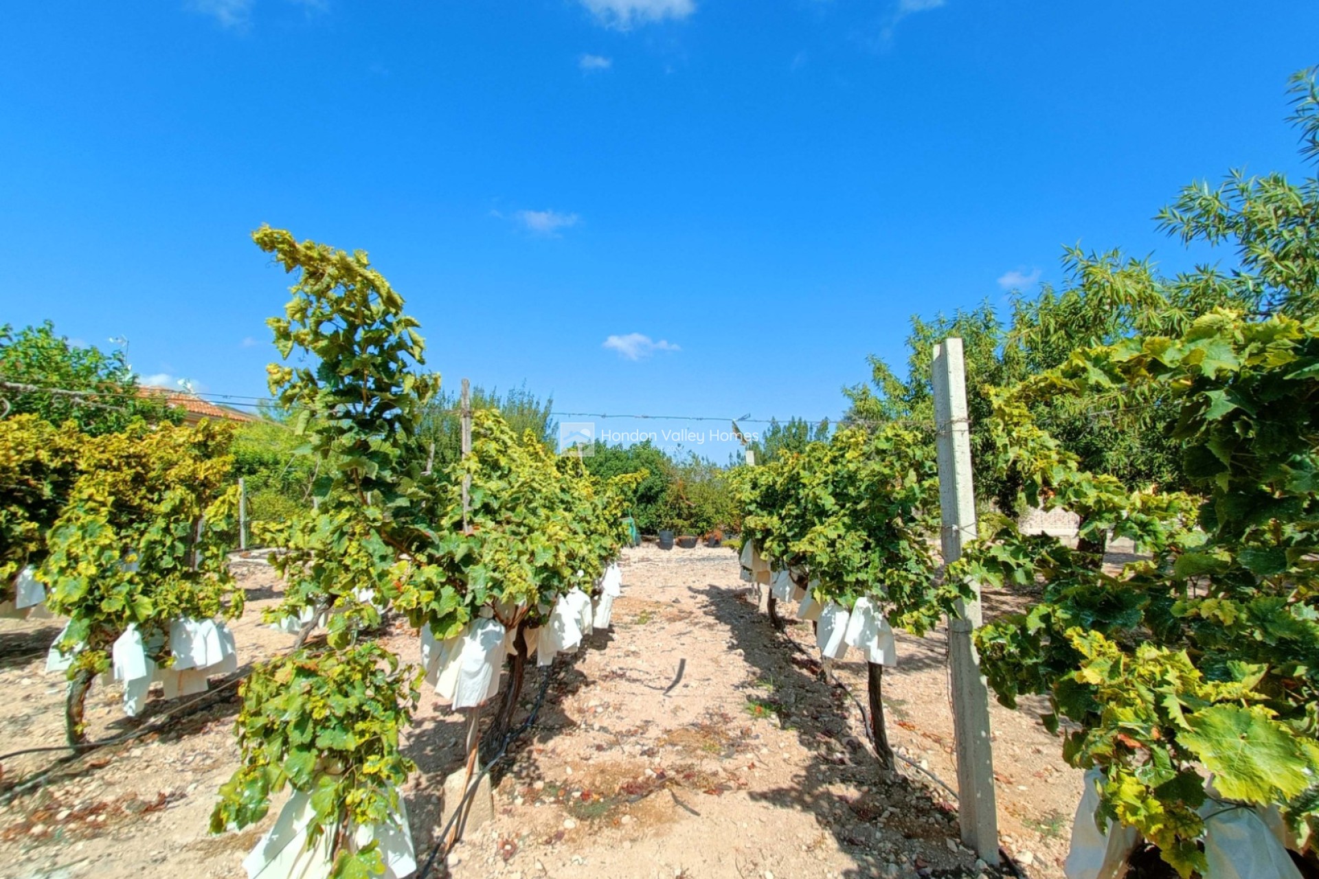 Reventa - Villa - Aspe