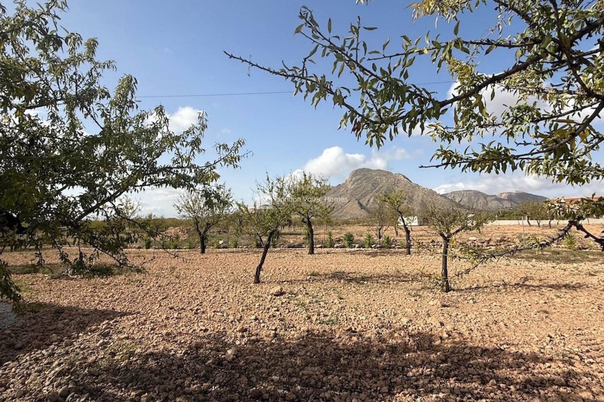 Reventa - Villa - Barbarroja