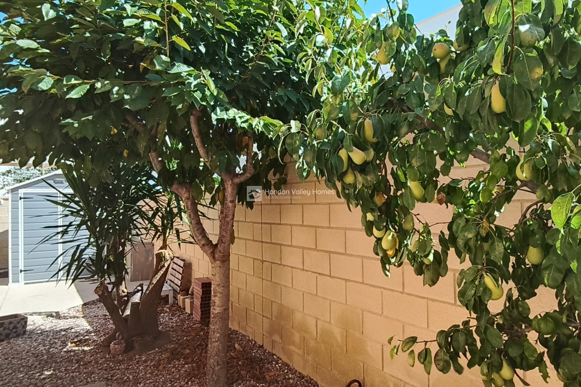 Reventa - Villa - Detached - La Romana