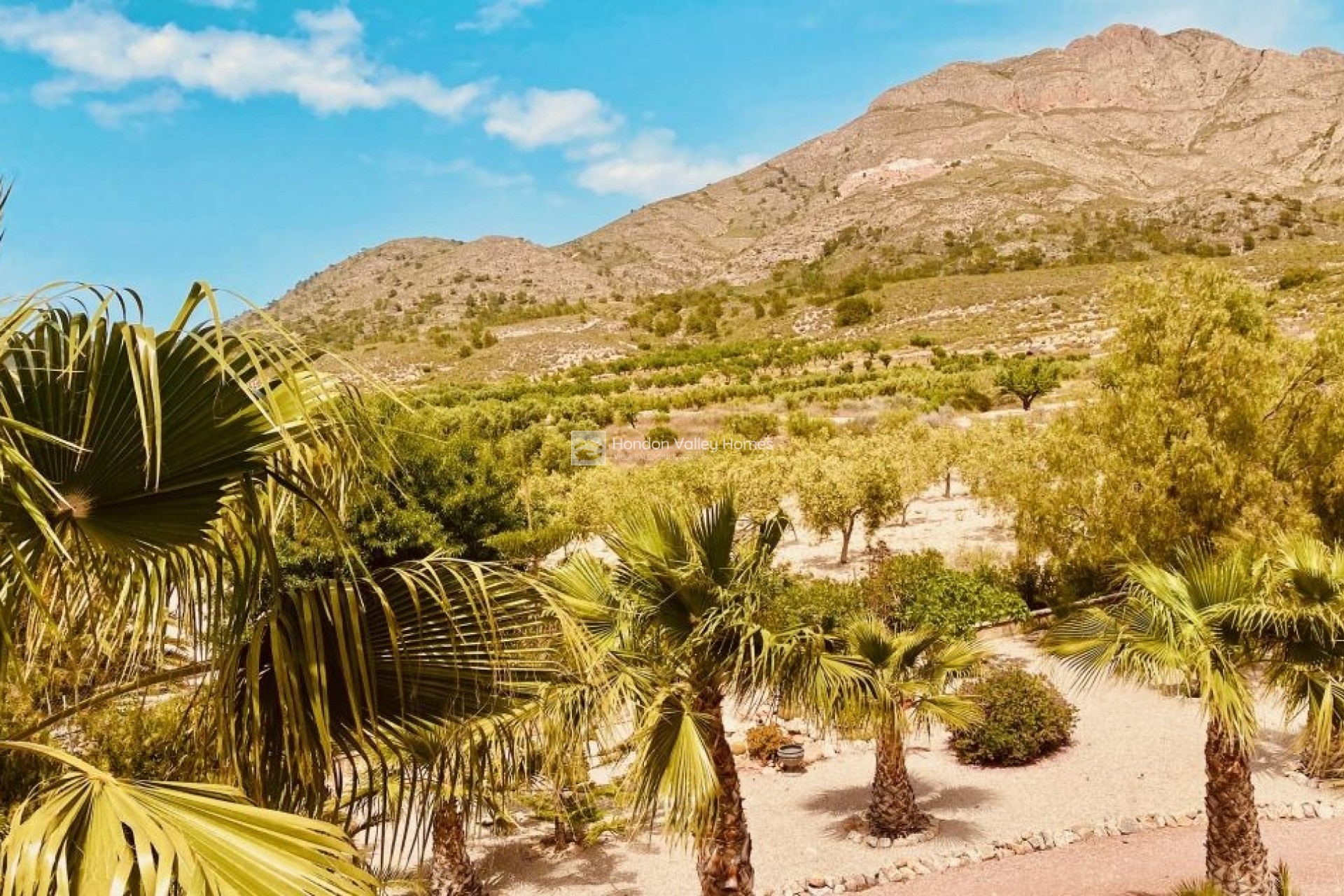 Reventa - Villa - Detached - Macisvenda
