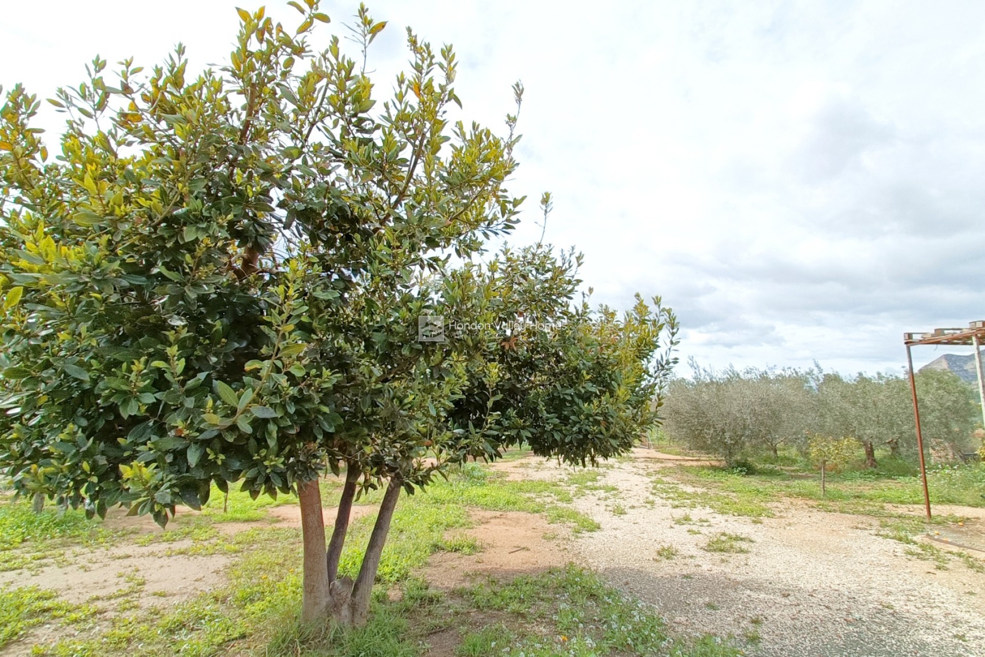 Reventa - Villa - Hondón de las Nieves