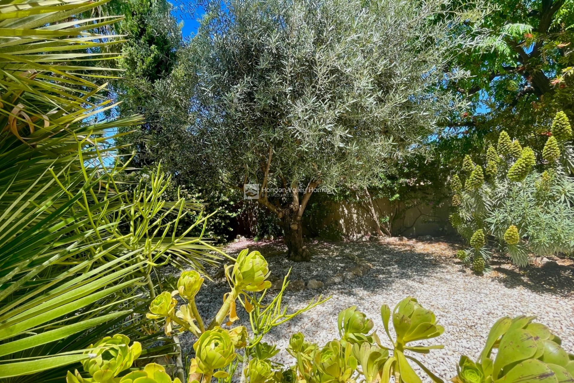 Reventa - Villa - Hondón de las Nieves