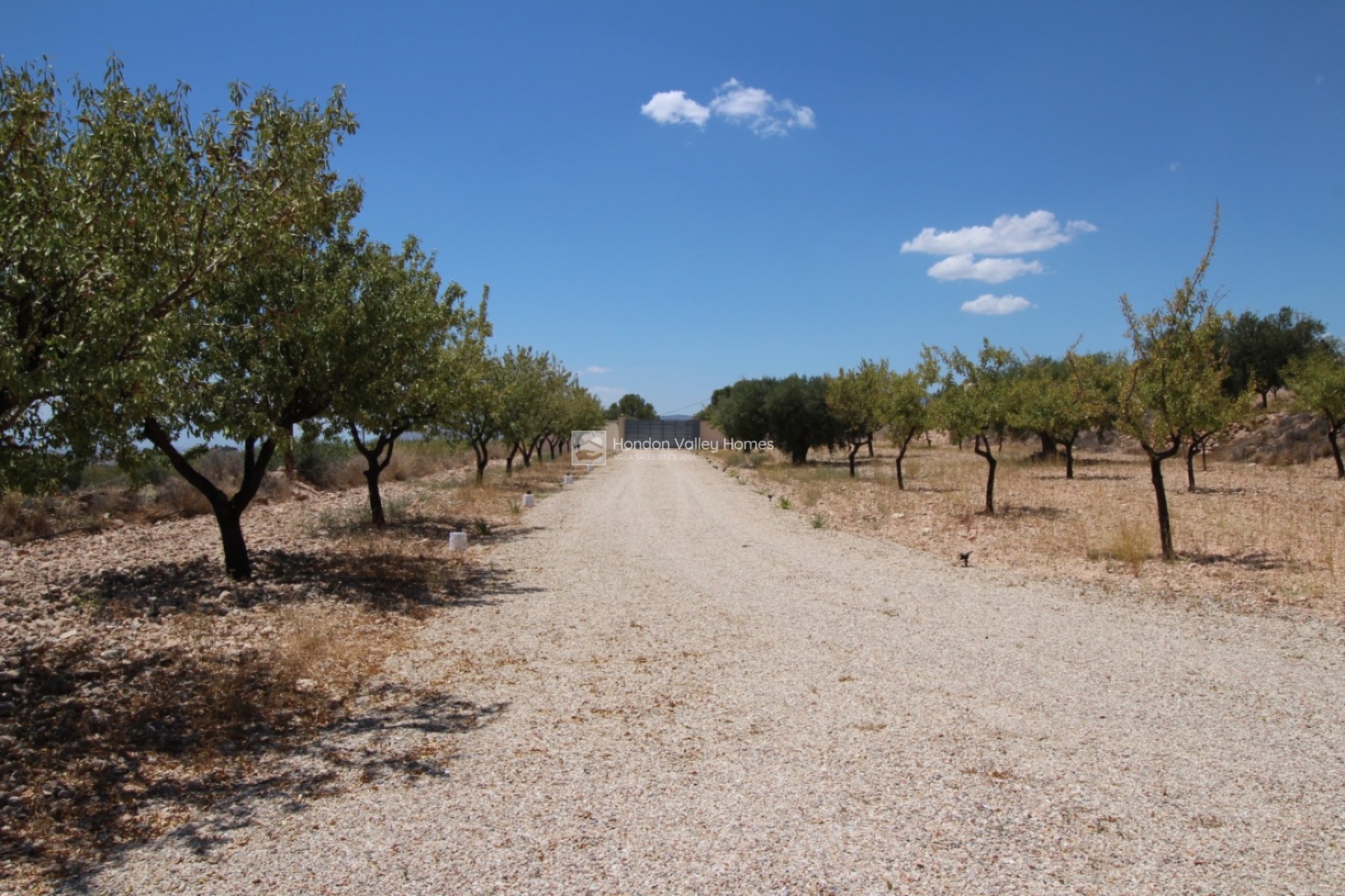 Reventa - Villa - Macisvenda