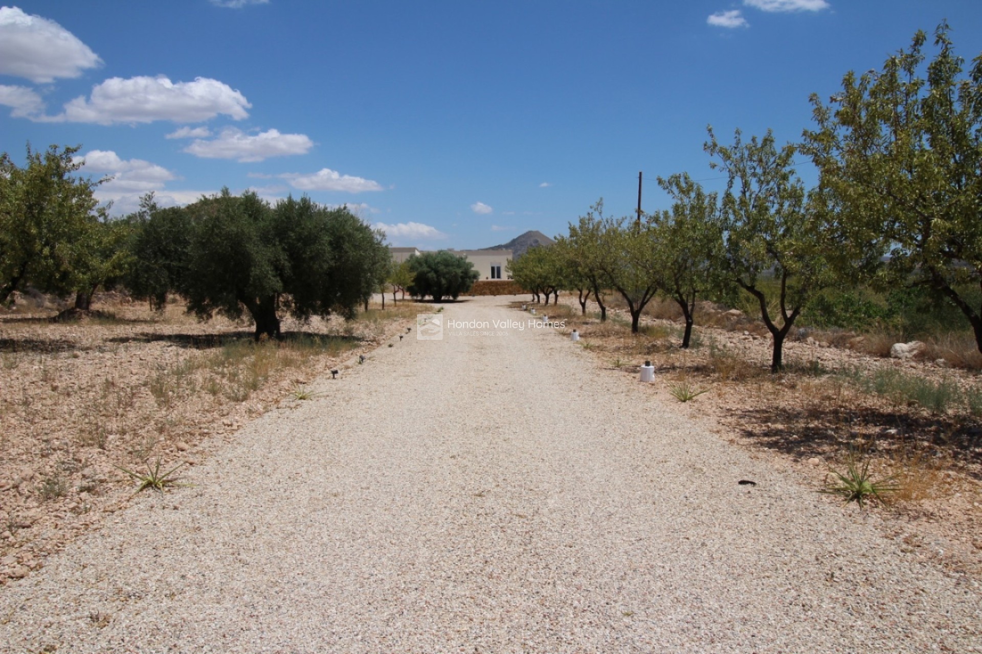 Reventa - Villa - Macisvenda
