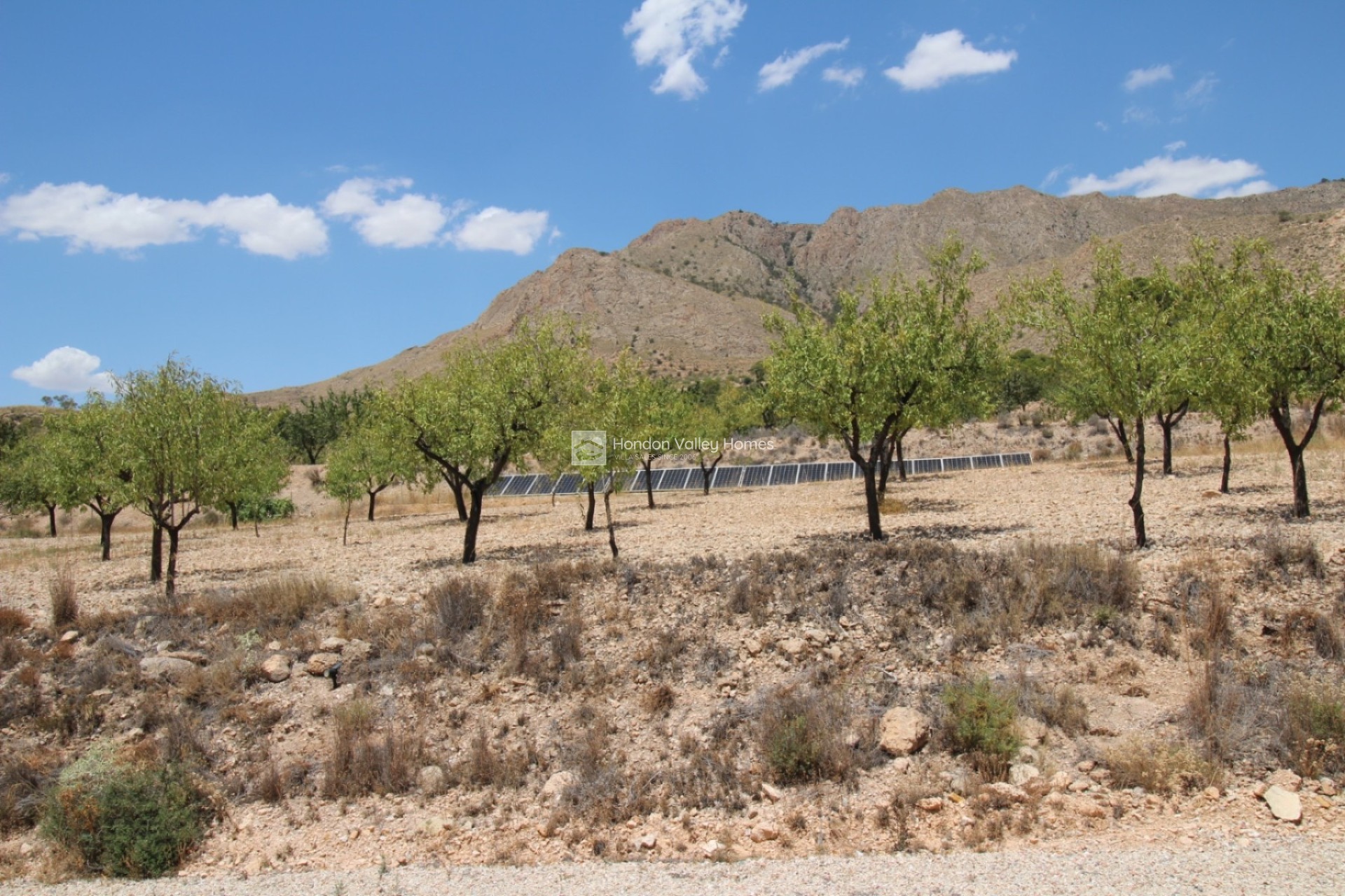 Reventa - Villa - Macisvenda