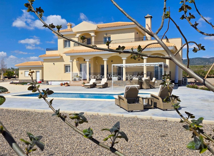 Reventa - Villa - Pinoso