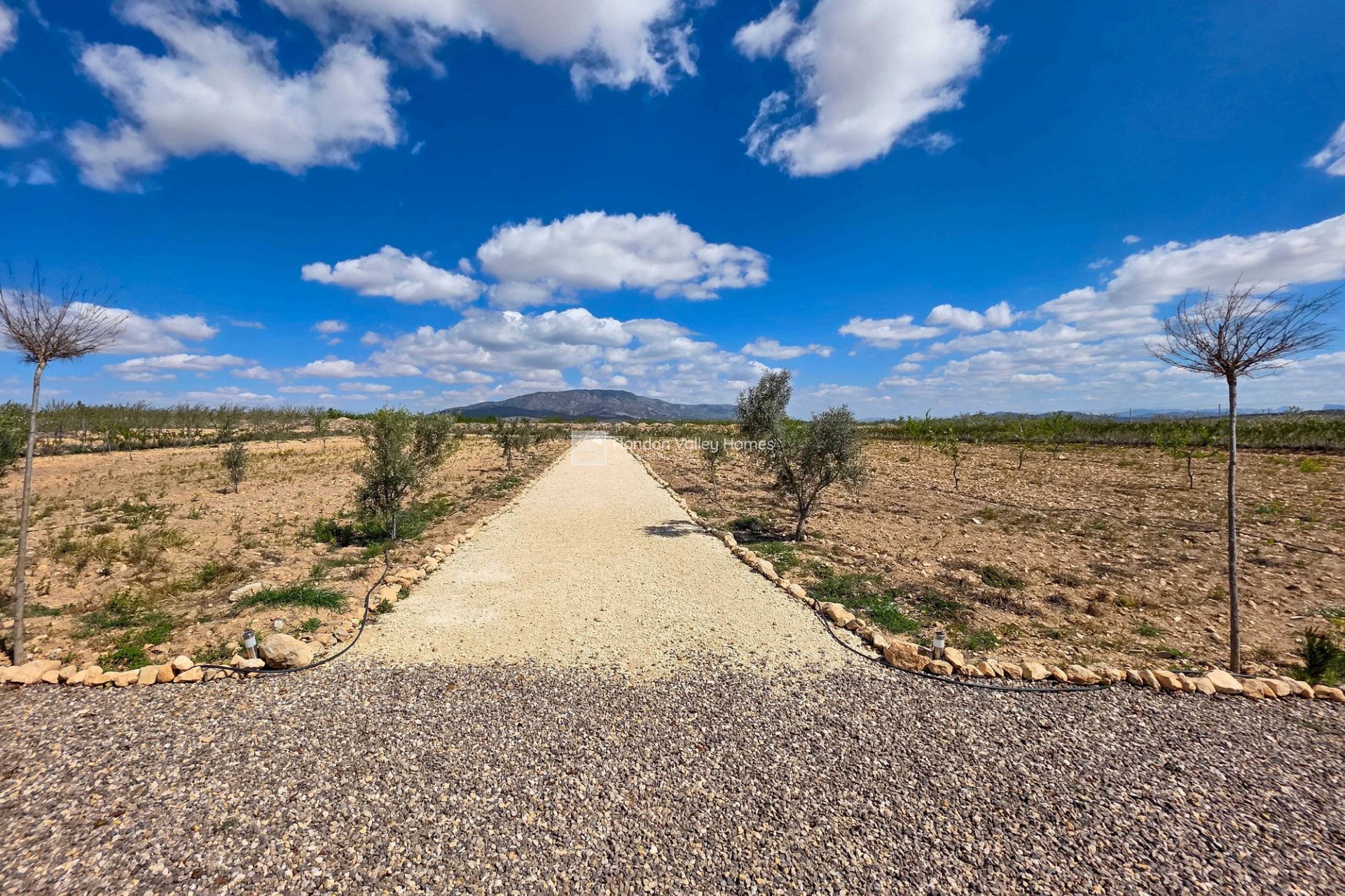 Reventa - Villa - Pinoso