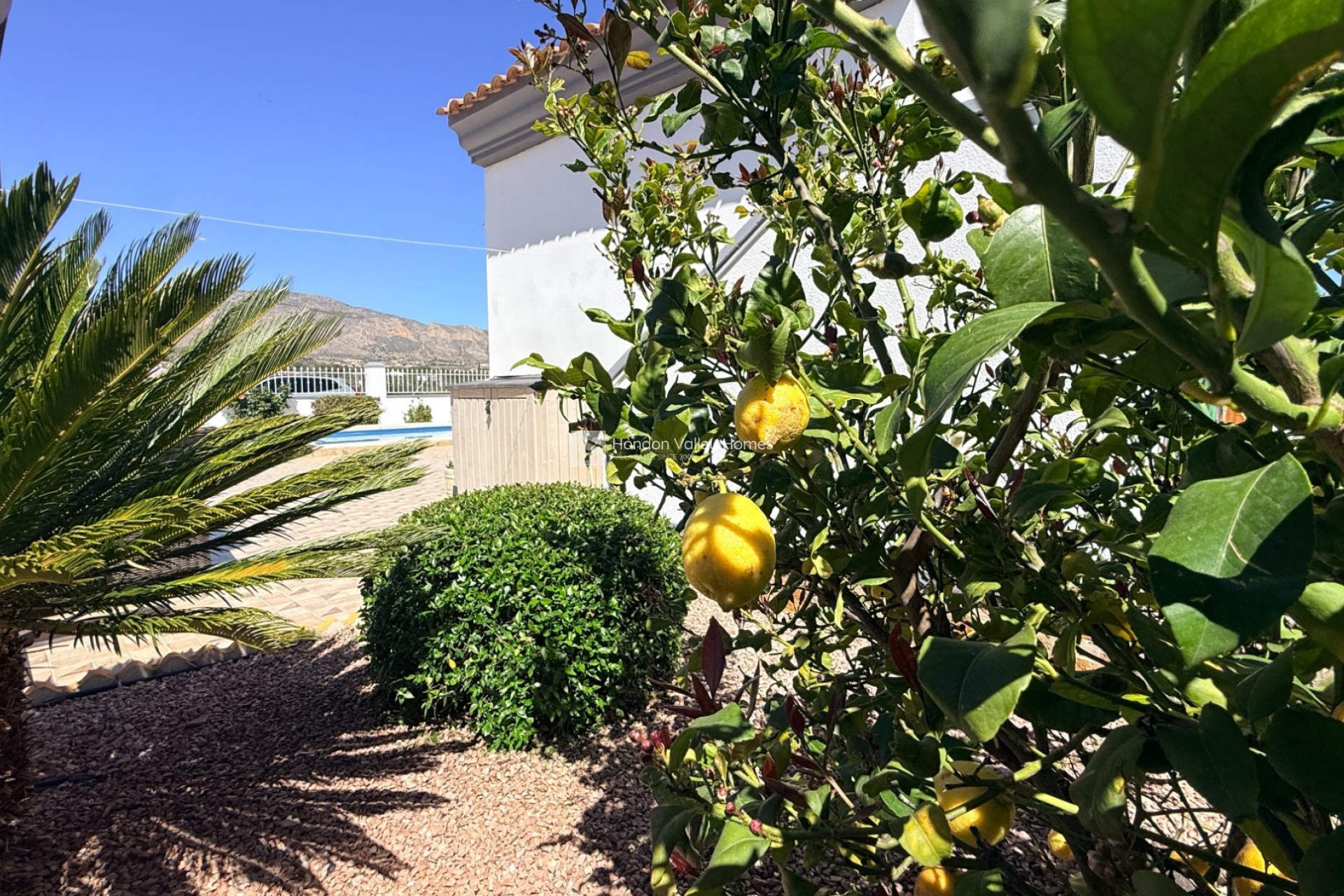 Revente - 4. House - Detached Villa - Hondón de las Nieves