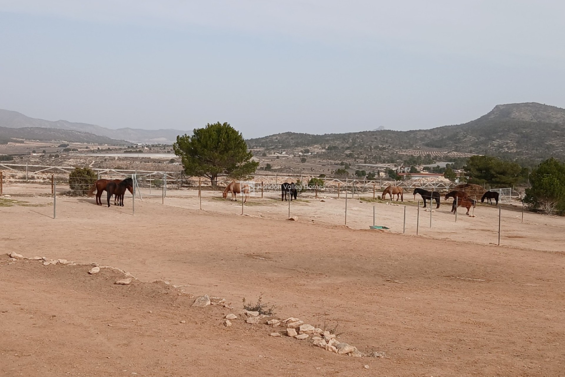 Revente - 5. Finca / Country Property - Monovar