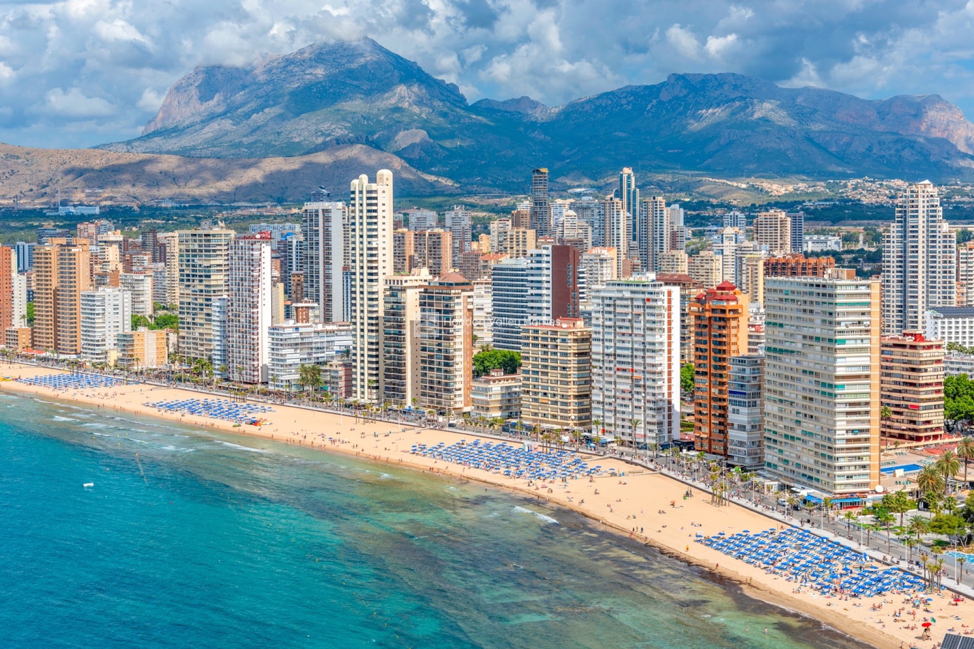 Revente - Apartments - Benidorm - Levante
