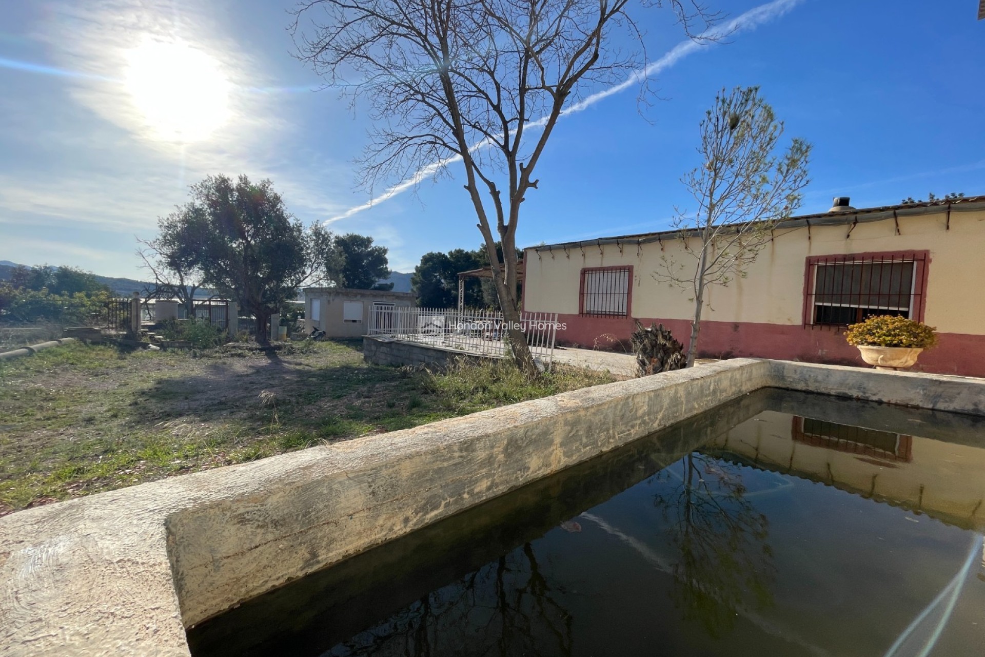 Revente - Finca / Country Property - Aspe