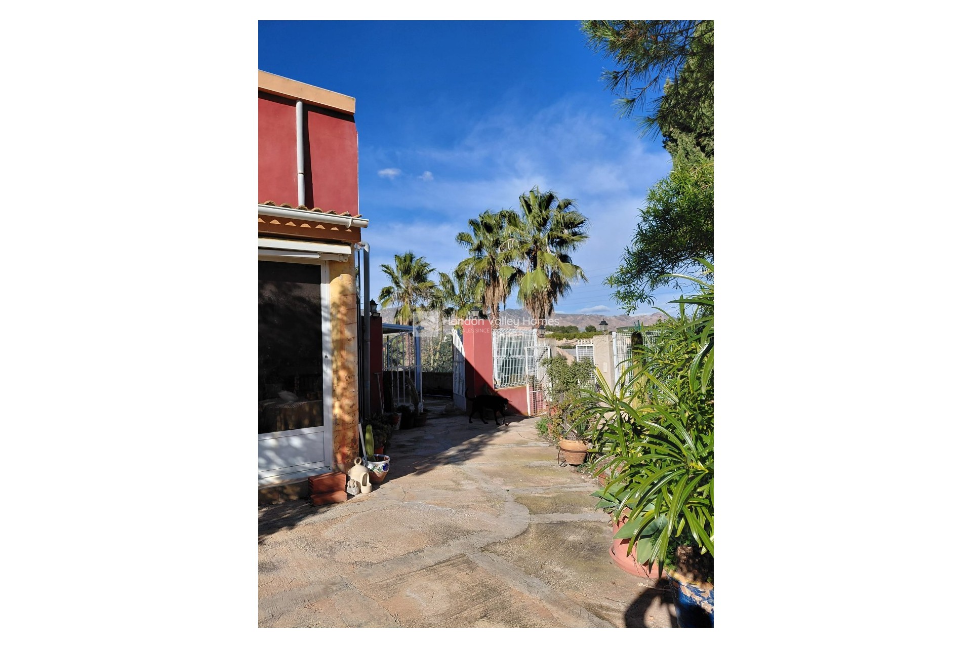 Revente - Finca / Country Property - Orihuela