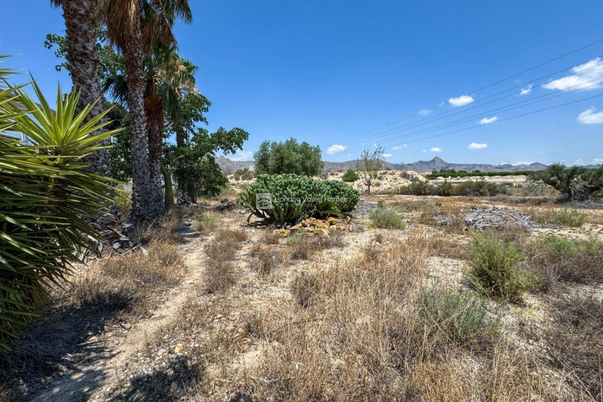 Revente - Finca / Country Property - Orihuela