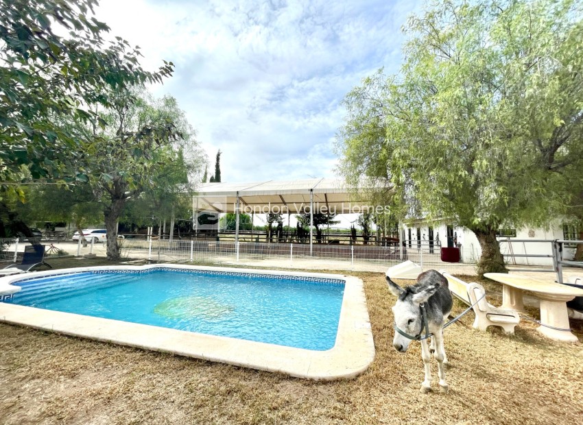 Revente - Finca / Country Property - Orihuela