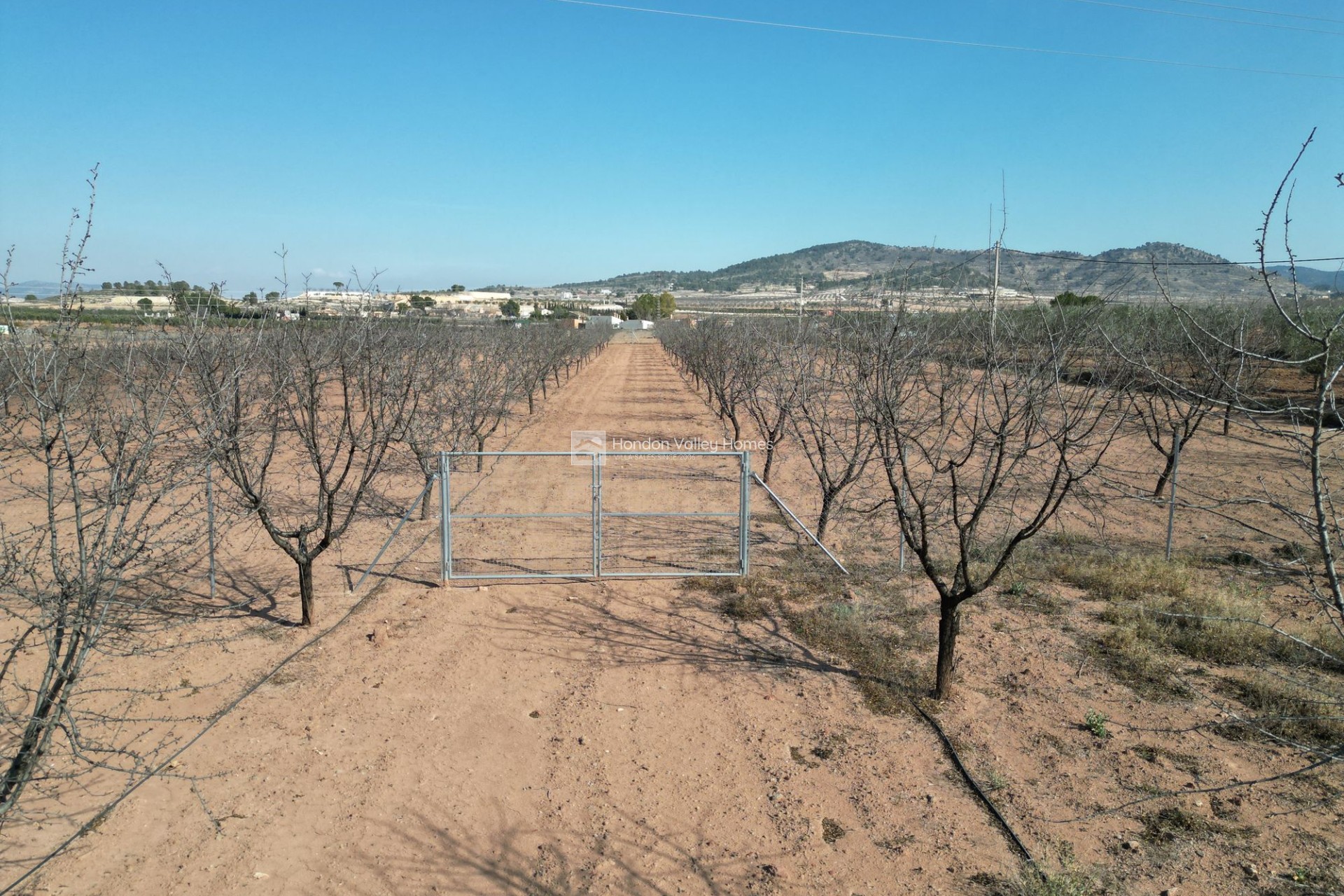 Revente - Grond - Pinoso